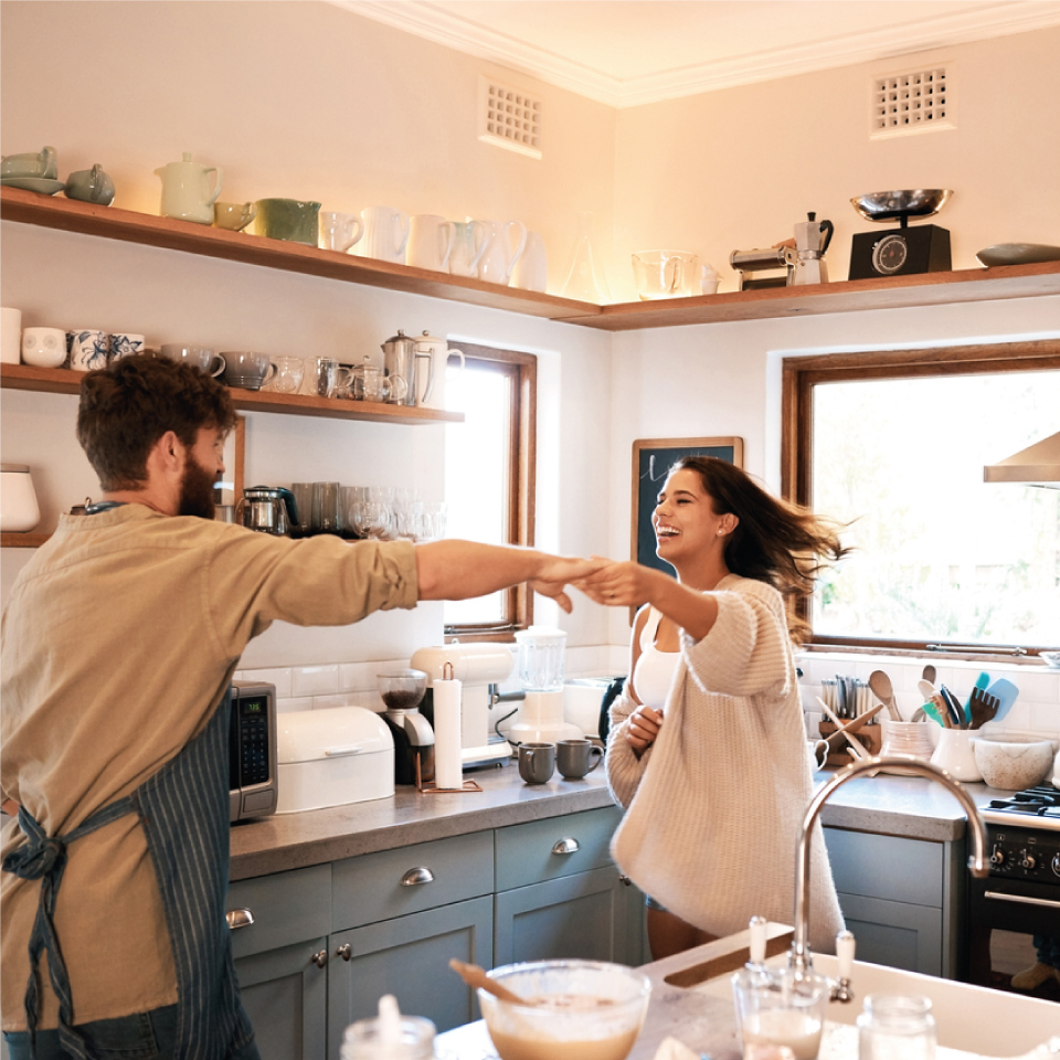 casa-diseño-mascota